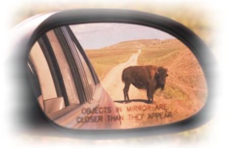 Buffalo, South Dakota Tourism